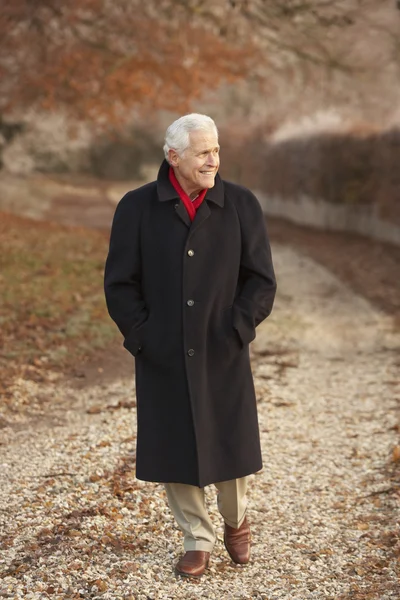 Starší muž na zimní procházka mrazivá krajina — Stock fotografie