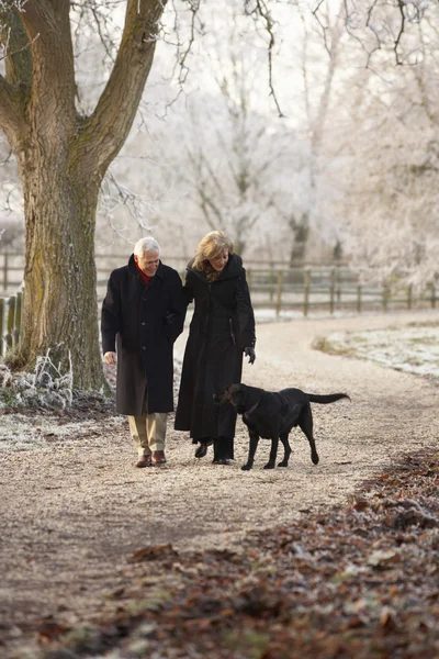 Старшая пара на зимней прогулке с собакой через ледяной пейзаж — стоковое фото