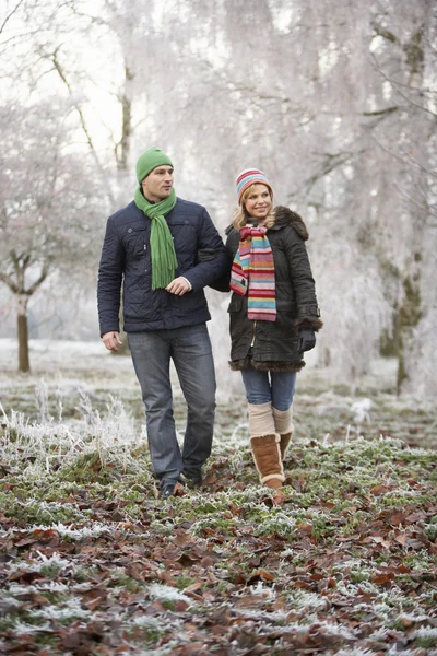 Couple en hiver Promenade à travers un paysage givré — Photo