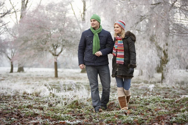 Casal em passeio de inverno através da paisagem gelada — Fotografia de Stock