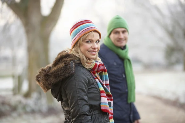 冬のカップルは冷ややかな風景を歩く — ストック写真