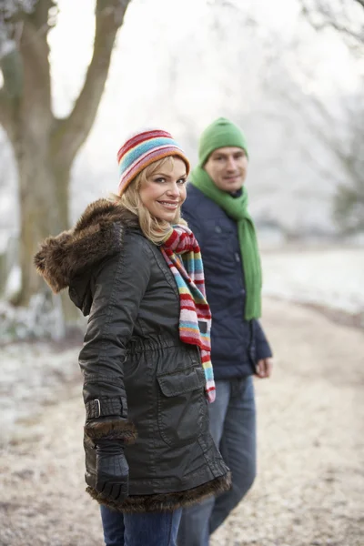 冬のカップルは冷ややかな風景を歩く — ストック写真