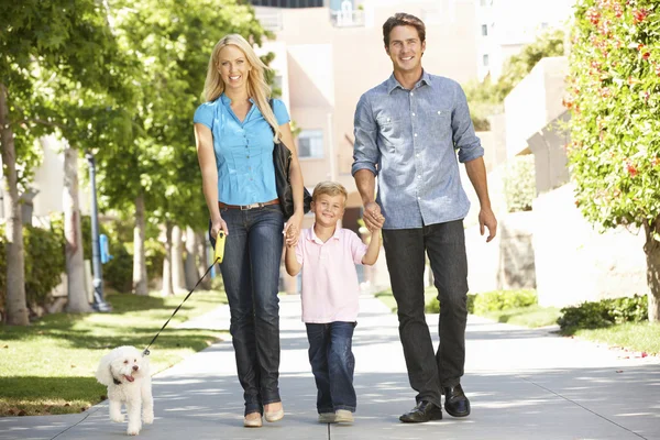 Family walking with dog in city street — Stock Photo, Image