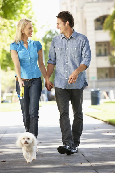 stock image Couple walking with dog in city street