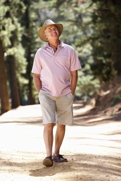 Senior man op land lopen — Stockfoto