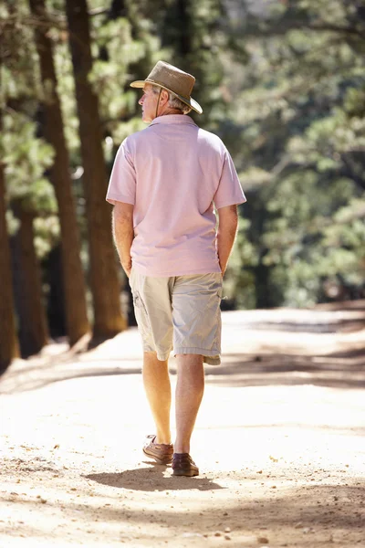 Старший мужчина на прогулке — стоковое фото