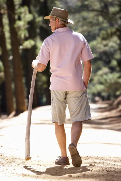 Senior mand på landet gåtur - Stock-foto