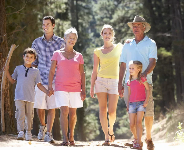 3 generatie familie op land lopen — Stockfoto