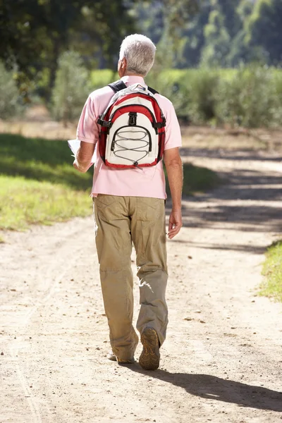 Senior man reading map on country walk — Stock Photo, Image