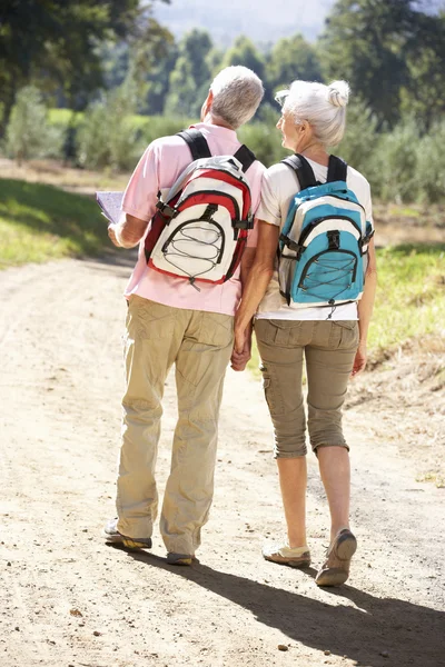 Senior couple reading map on country walk — Stock Photo, Image