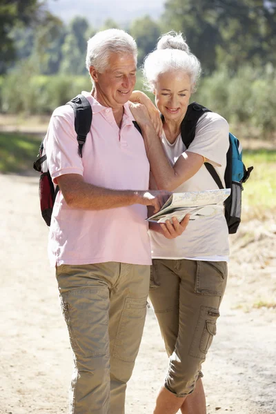 Карта для чтения пожилой пары на прогулке по стране — стоковое фото