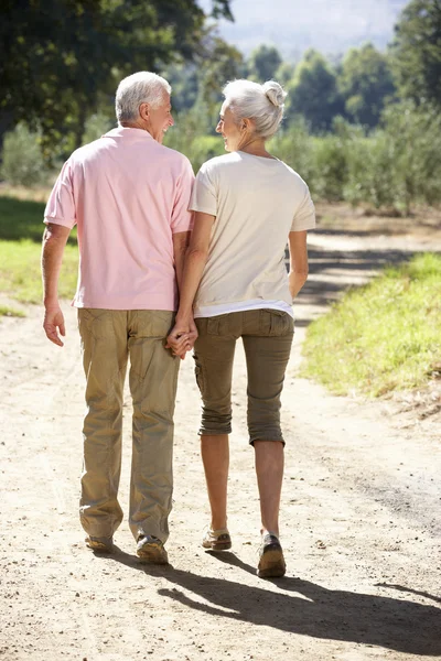 Seniorenpaar auf Landpartie — Stockfoto