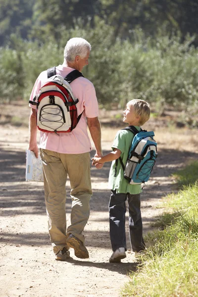 Hombre mayor y nieto en caminata por el campo — Foto de Stock