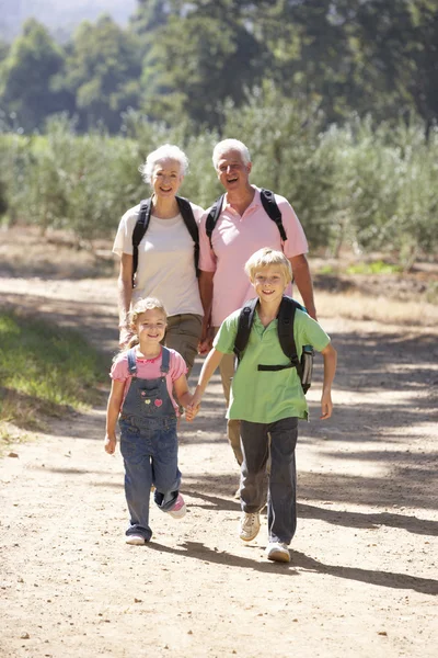 Senior koppel en kleinkinderen op land wandeling — Stockfoto