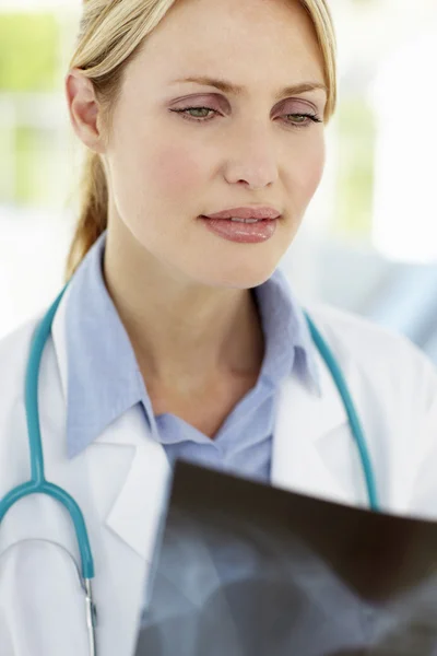 Vrouwelijke arts met röntgenfoto — Stockfoto