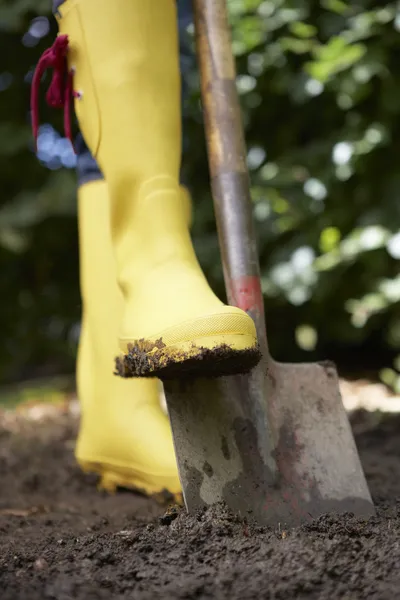 Donna che scava in giardino — Foto Stock