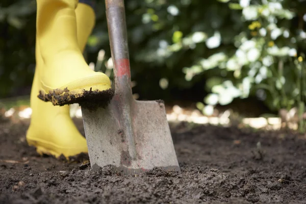 Woman digging in garden — Stock Photo, Image