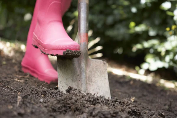 女性の庭で掘り — ストック写真