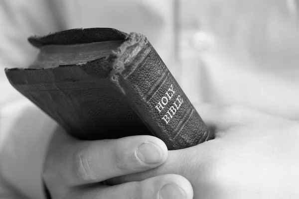 Jeune homme tenant la bible — Photo