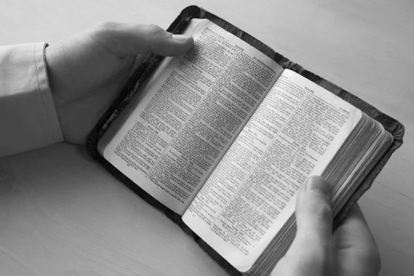 Young man reading bible — Stock Photo, Image