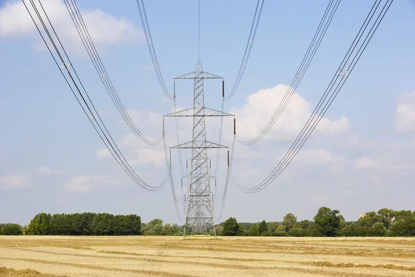 Elektriciteitsmasten in platteland — Stockfoto