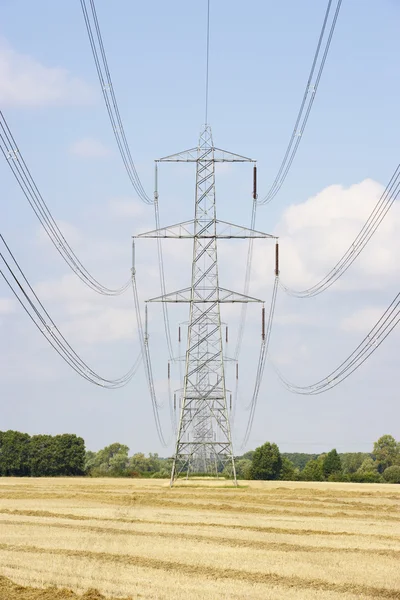 Pilones eléctricos en el campo — Foto de Stock