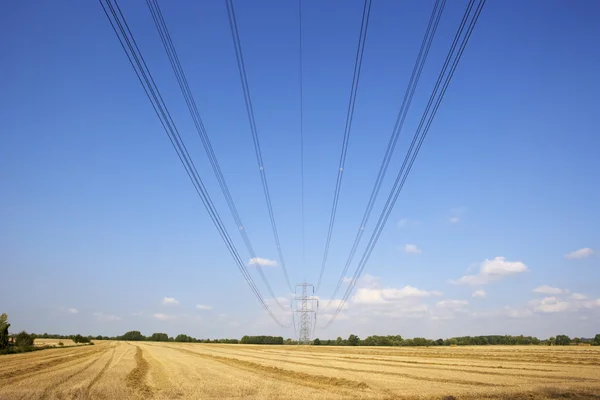 Pilón de electricidad y líneas en el campo — Foto de Stock