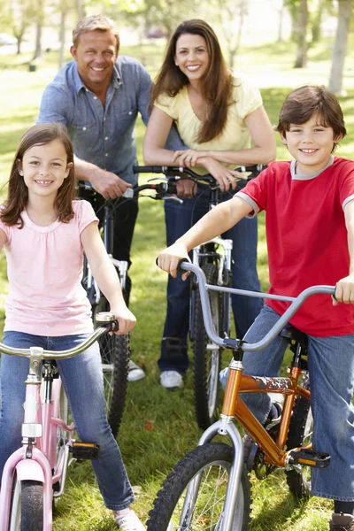 Семейные велосипеды в парке — стоковое фото