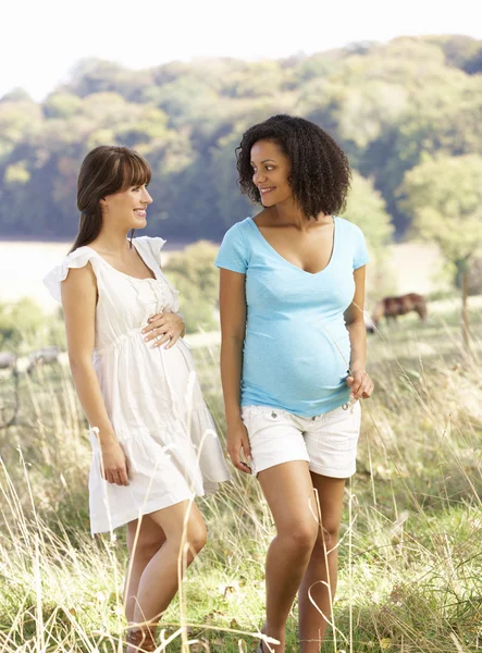 Zwangere vrouwen buitenshuis in platteland — Stockfoto