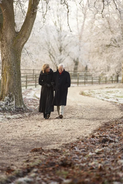 Äldre par på vintern promenad genom frostiga landskap Stockbild