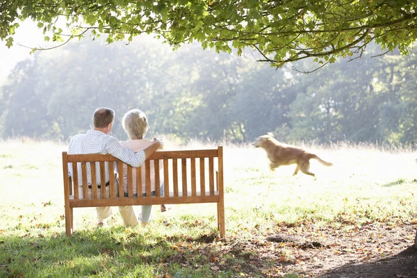 Senior cuplu în aer liber cu câine — Fotografie, imagine de stoc