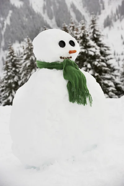 Сніговик, побудований в альпійському розташування — стокове фото