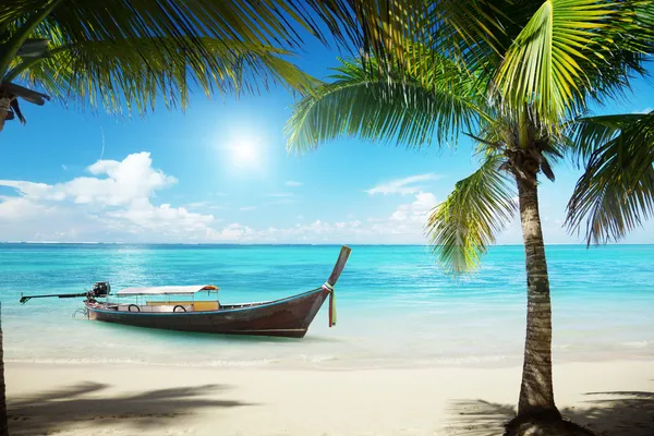 Hav, kokospalmer och båt — Stockfoto