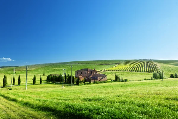 Toscane landschap met de typische boerderij Stockfoto