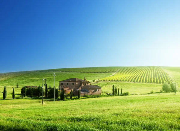 Toskanische Landschaft mit typischem Bauernhaus — Stockfoto