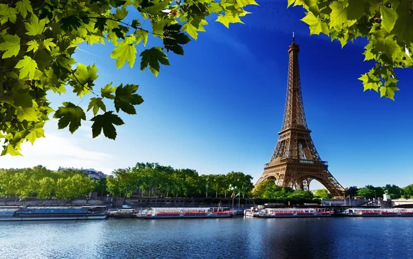 Seine in Parijs met Eiffeltoren Stockafbeelding