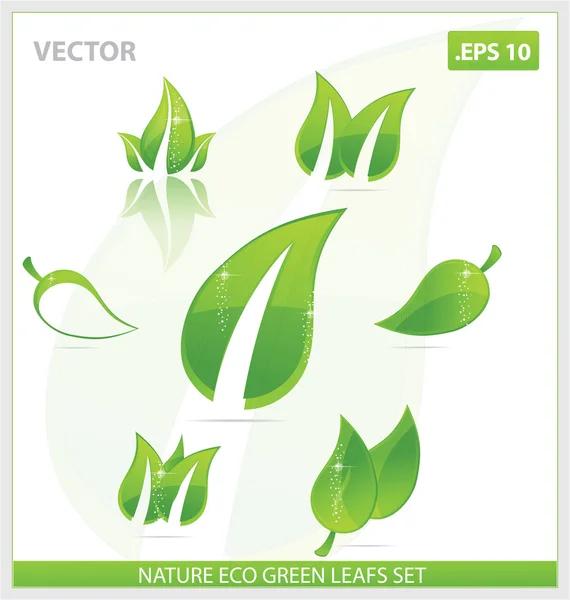 Koncepcja ekologiczne zielone liście zestaw symboli — Wektor stockowy