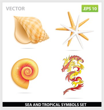 Yellow sea shell and dragon symbols set clipart