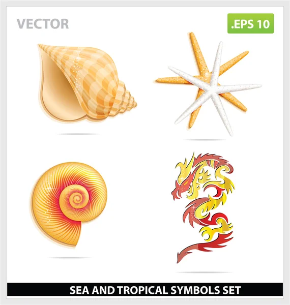 Concha de mar amarelo e conjunto de símbolos de dragão — Vetor de Stock