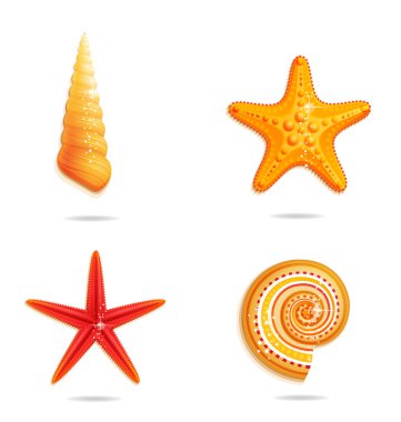 Tropical sea symbols set on the white clipart