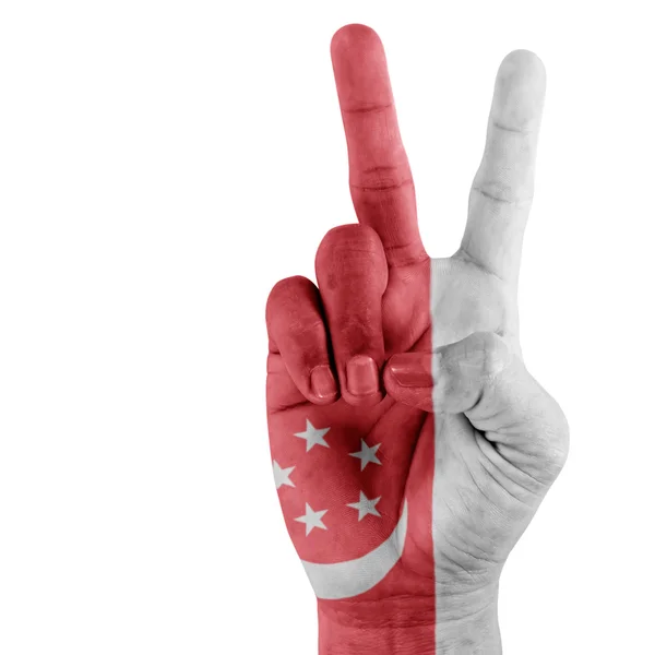 Singapore vlag aan kant. — Stockfoto