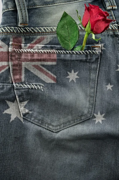 Rose In Blue Jeans Pocket. — Stock Photo, Image