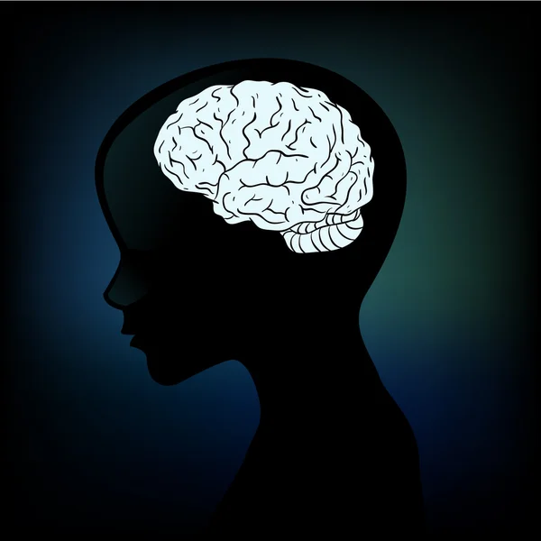 두뇌와 인간의 해 부 학적 프로필 실루엣 — 스톡 벡터