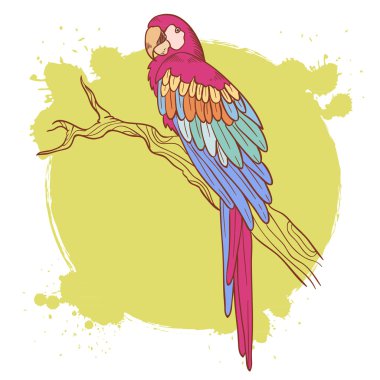 Colorful hand drawn ara parrot sitting on a tree brunch isolated