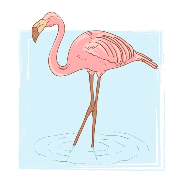 Roze flamingo staande in het water — Stockvector