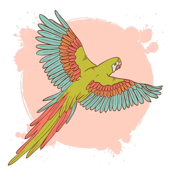 Colorato disegnato a mano ara pappagallo volare isolato — Vettoriale Stock
