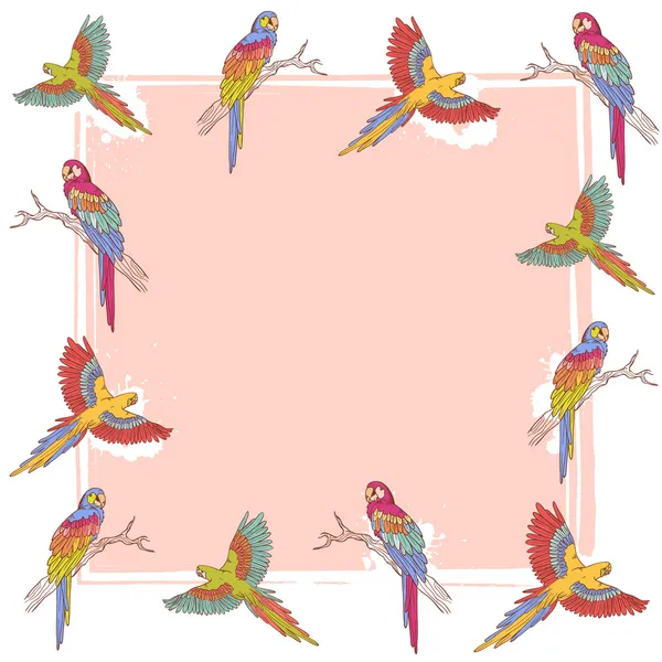 Ara renkli çerçeve papağan — Stok Vektör