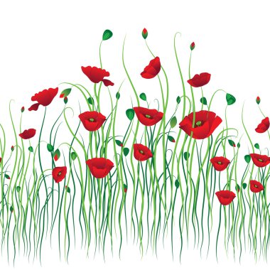 Poppy background clipart