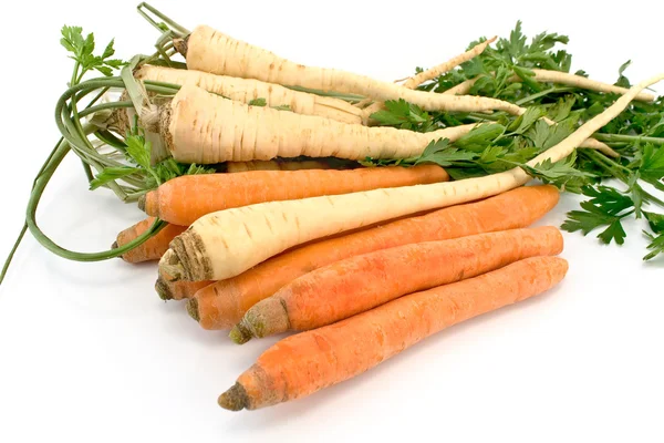 Fresh carrot and parsley with root — Stock Photo, Image
