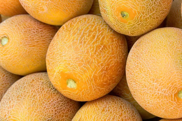 Melones melones — Foto de Stock